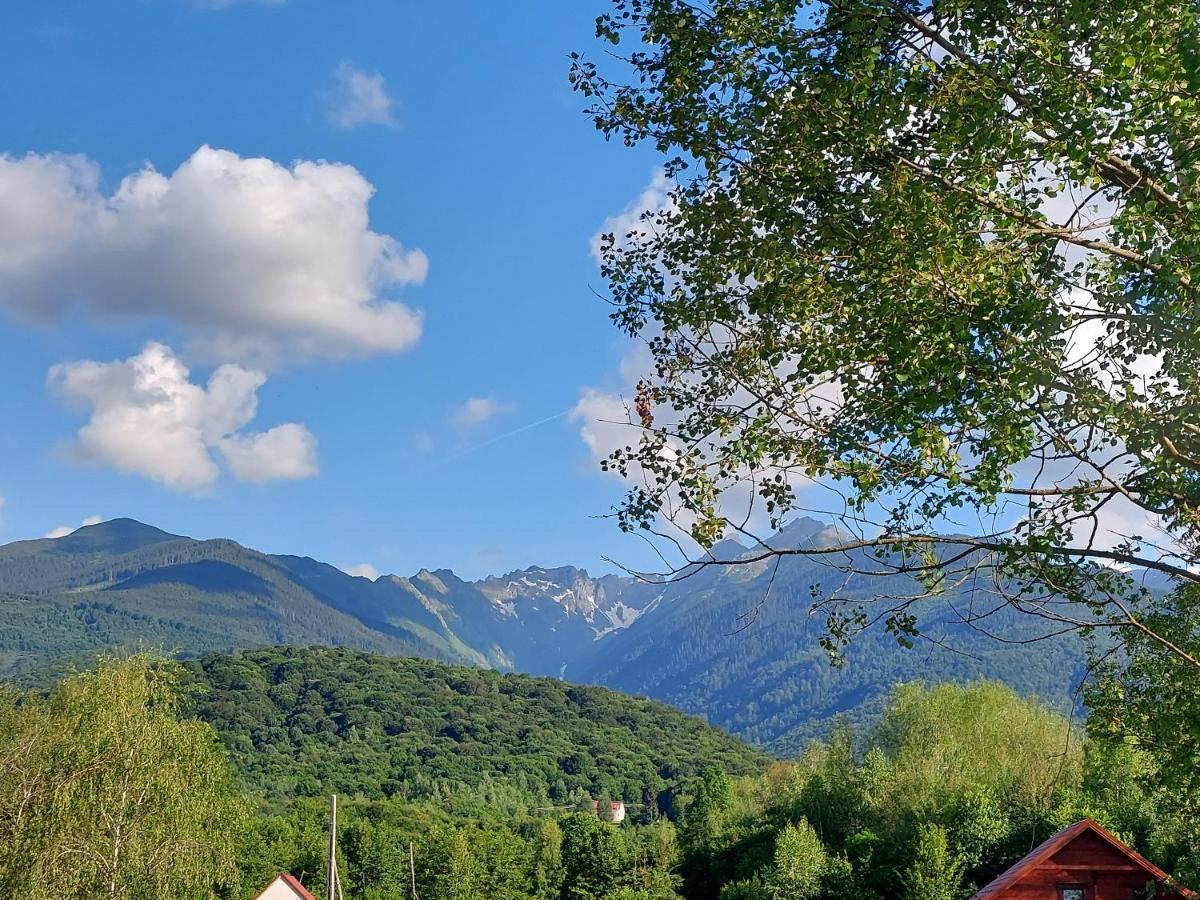 Cabana Casa Lu'Baciu Arpasu de Sus Экстерьер фото