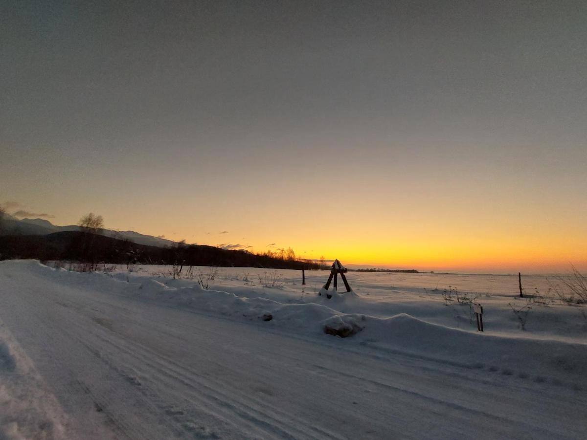Cabana Casa Lu'Baciu Arpasu de Sus Экстерьер фото